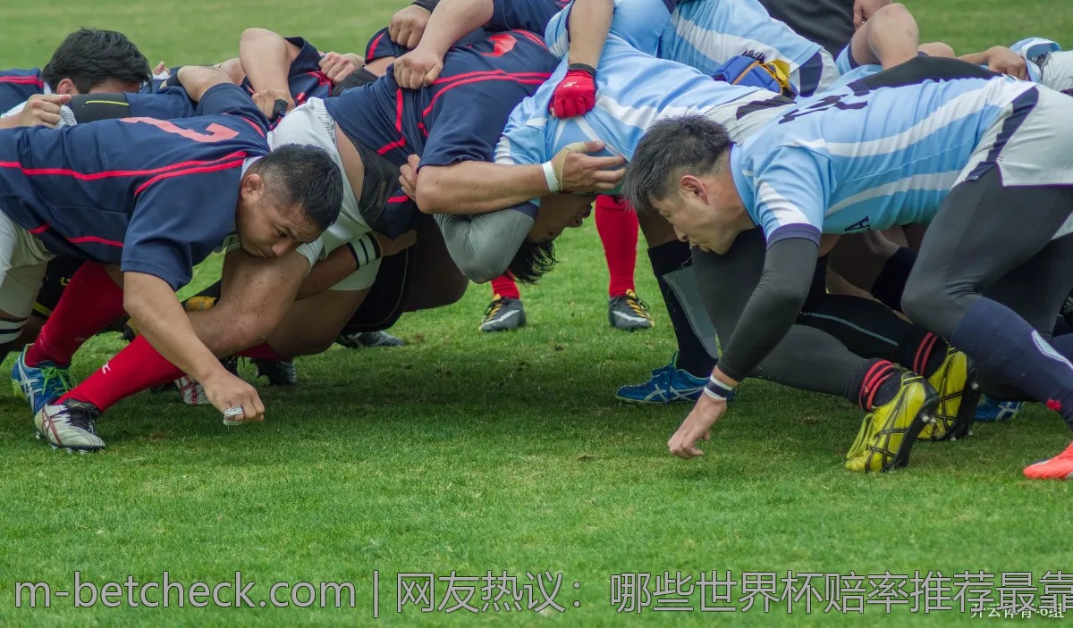 网友热议：哪些世界杯赔率推荐最靠谱？