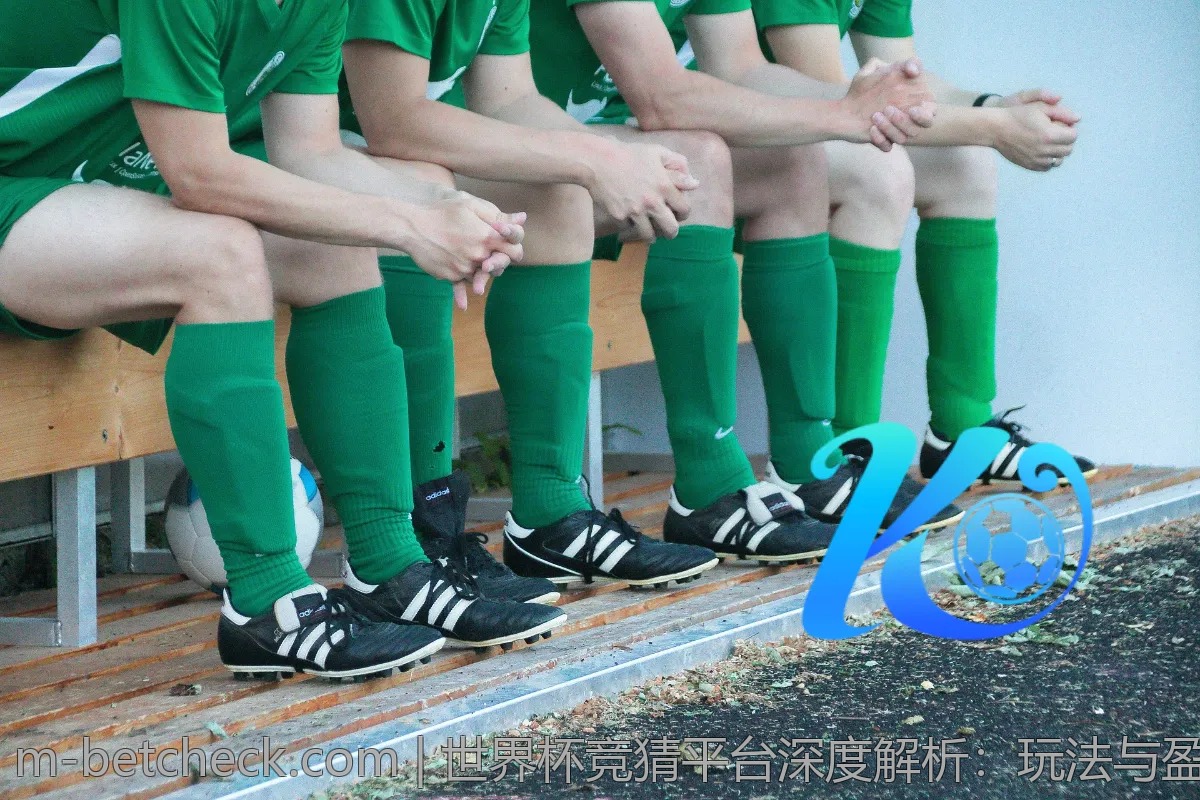 世界杯竞猜平台深度解析：玩法与盈利技巧