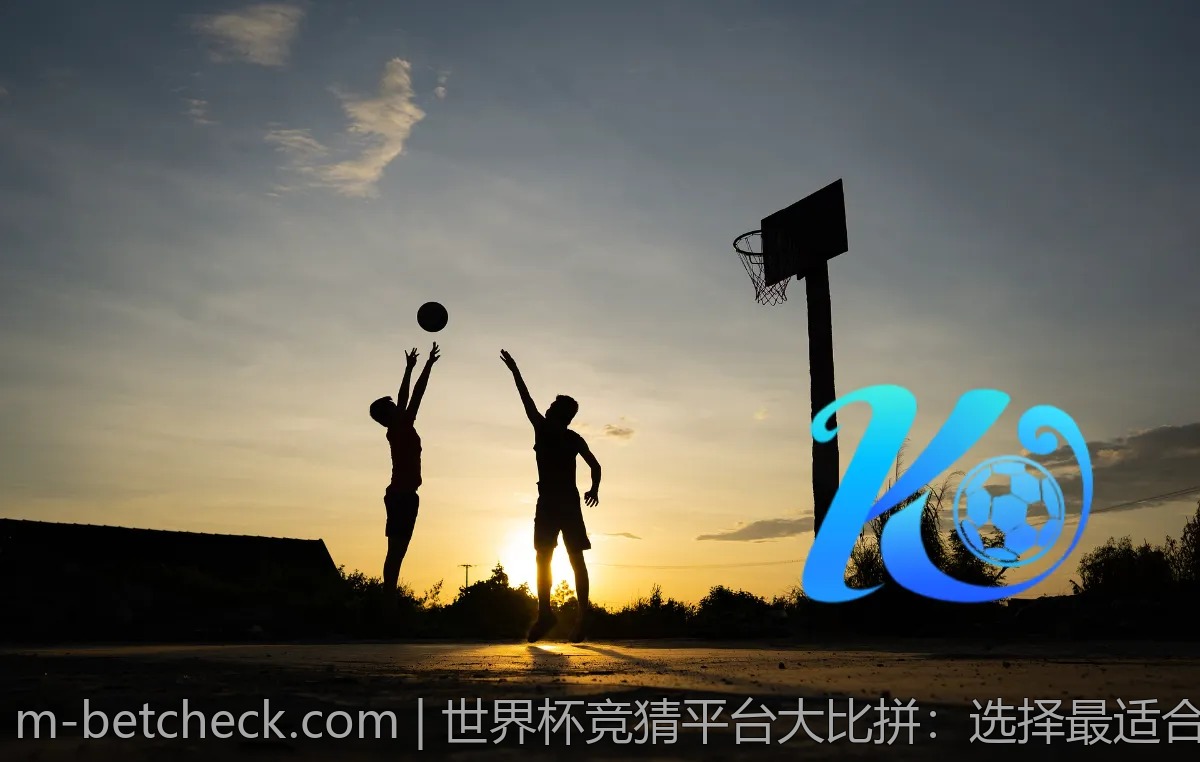 世界杯竞猜平台大比拼：选择最适合你的入口